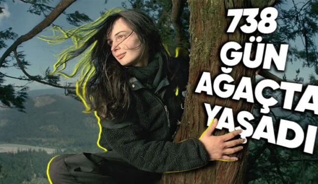 bir-agac-kesilmesin-diye-tam-738-gun-o-agacta-yasayarak-cabasini-surduren-julia-butterfly-KPNqtv6R.jpeg